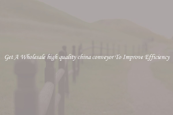 Get A Wholesale high quality china conveyor To Improve Efficiency
