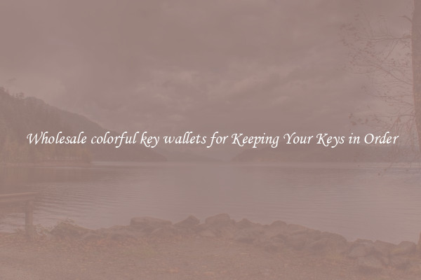 Wholesale colorful key wallets for Keeping Your Keys in Order