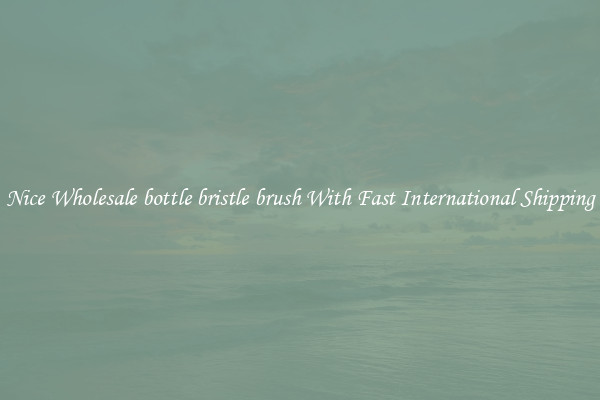 Nice Wholesale bottle bristle brush With Fast International Shipping