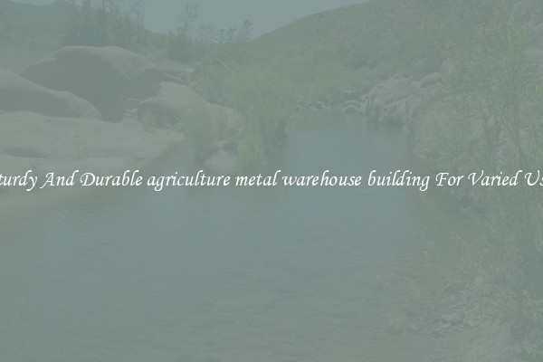 Sturdy And Durable agriculture metal warehouse building For Varied Uses