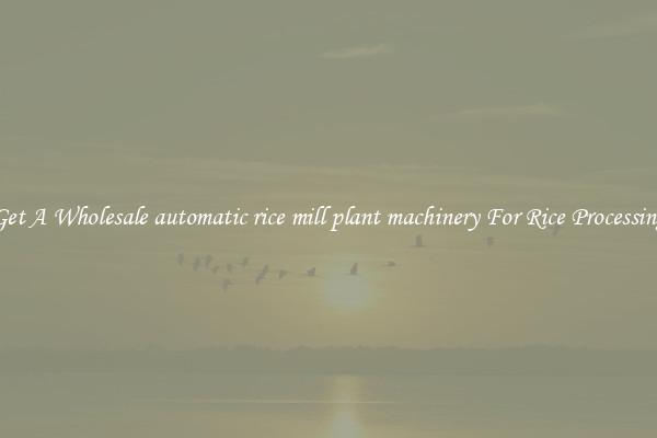 Get A Wholesale automatic rice mill plant machinery For Rice Processing