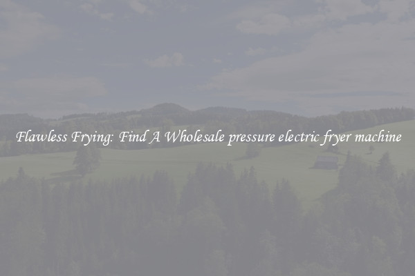 Flawless Frying: Find A Wholesale pressure electric fryer machine