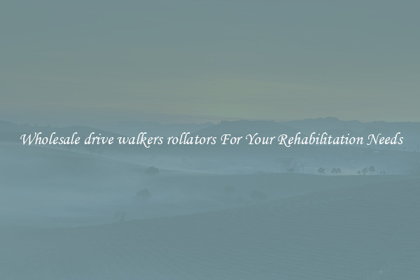 Wholesale drive walkers rollators For Your Rehabilitation Needs