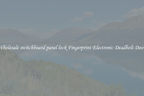 Wholesale switchboard panel lock Fingerprint Electronic Deadbolt Door 
