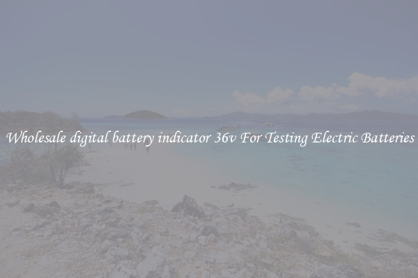 Wholesale digital battery indicator 36v For Testing Electric Batteries