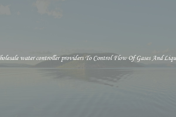 Wholesale water controller providers To Control Flow Of Gases And Liquids