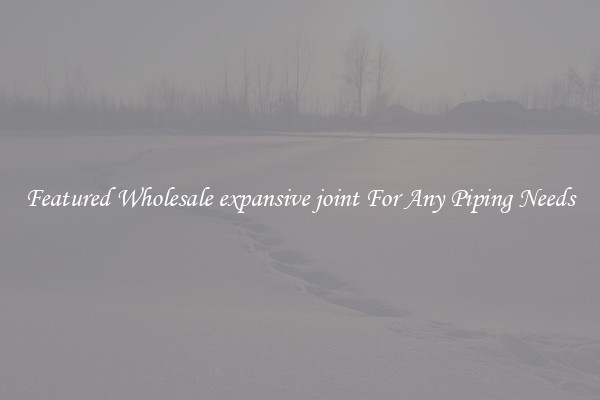Featured Wholesale expansive joint For Any Piping Needs