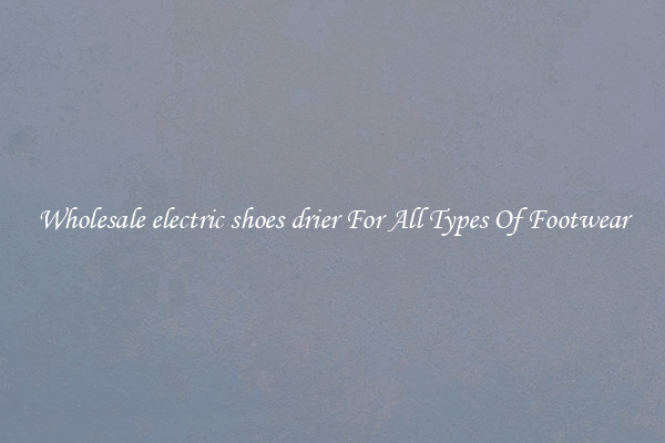 Wholesale electric shoes drier For All Types Of Footwear