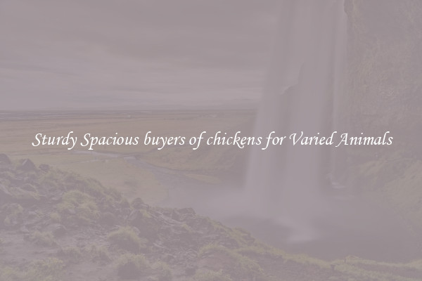 Sturdy Spacious buyers of chickens for Varied Animals