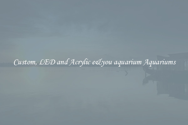 Custom, LED and Acrylic e&you aquarium Aquariums
