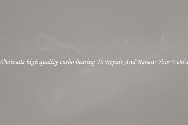 Wholesale high quality turbo bearing To Repair And Renew Your Vehicle