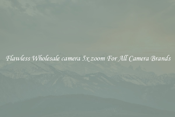 Flawless Wholesale camera 5x zoom For All Camera Brands