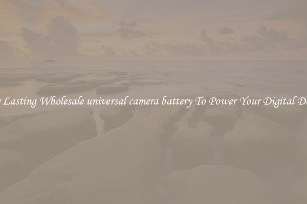 Long Lasting Wholesale universal camera battery To Power Your Digital Devices
