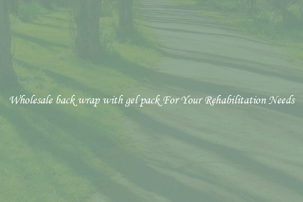 Wholesale back wrap with gel pack For Your Rehabilitation Needs