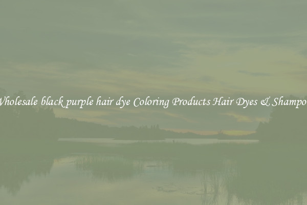 Wholesale black purple hair dye Coloring Products Hair Dyes & Shampoos