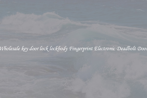 Wholesale key door lock lockbody Fingerprint Electronic Deadbolt Door 