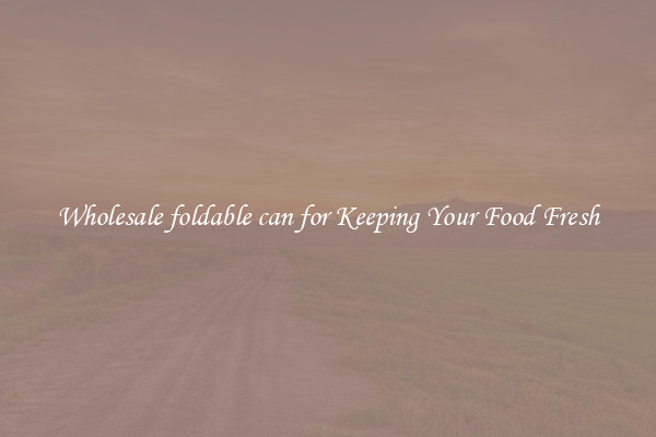Wholesale foldable can for Keeping Your Food Fresh