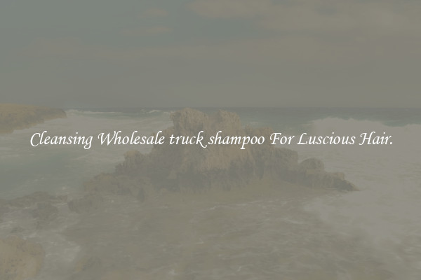 Cleansing Wholesale truck shampoo For Luscious Hair.