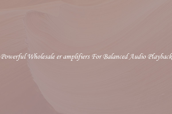 Powerful Wholesale er amplifiers For Balanced Audio Playback