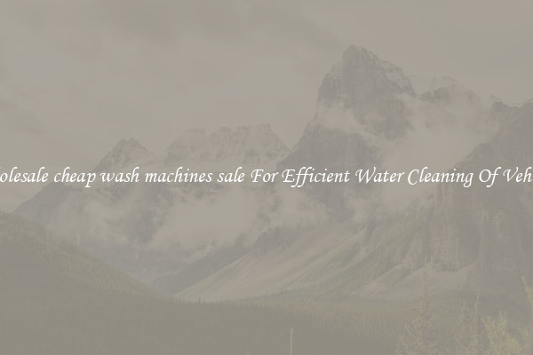 Wholesale cheap wash machines sale For Efficient Water Cleaning Of Vehicles
