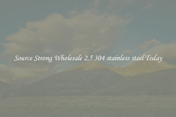 Source Strong Wholesale 2.5 304 stainless steel Today