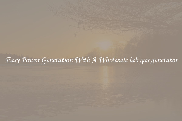 Easy Power Generation With A Wholesale lab gas generator