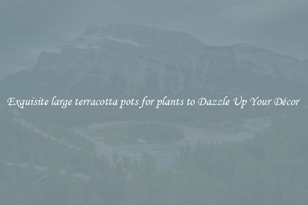 Exquisite large terracotta pots for plants to Dazzle Up Your Décor 