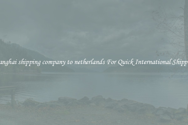shanghai shipping company to netherlands For Quick International Shipping