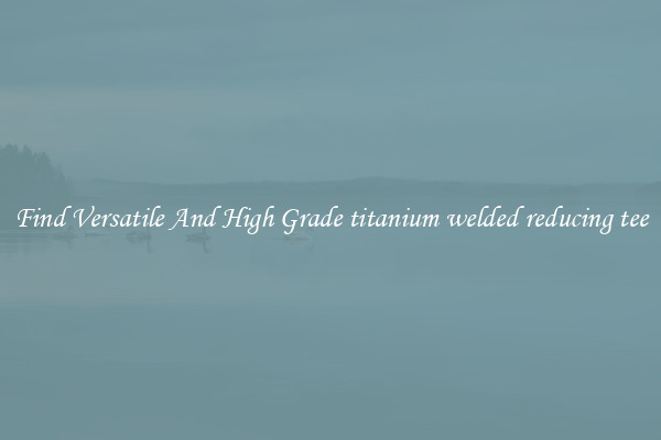 Find Versatile And High Grade titanium welded reducing tee