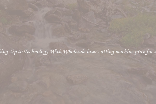 Matching Up to Technology With Wholesale laser cutting machine price for sweden