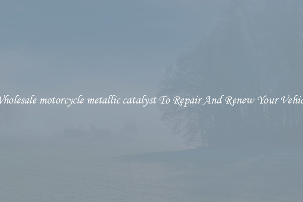 Wholesale motorcycle metallic catalyst To Repair And Renew Your Vehicle