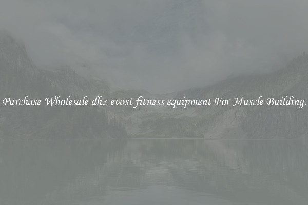 Purchase Wholesale dhz evost fitness equipment For Muscle Building.